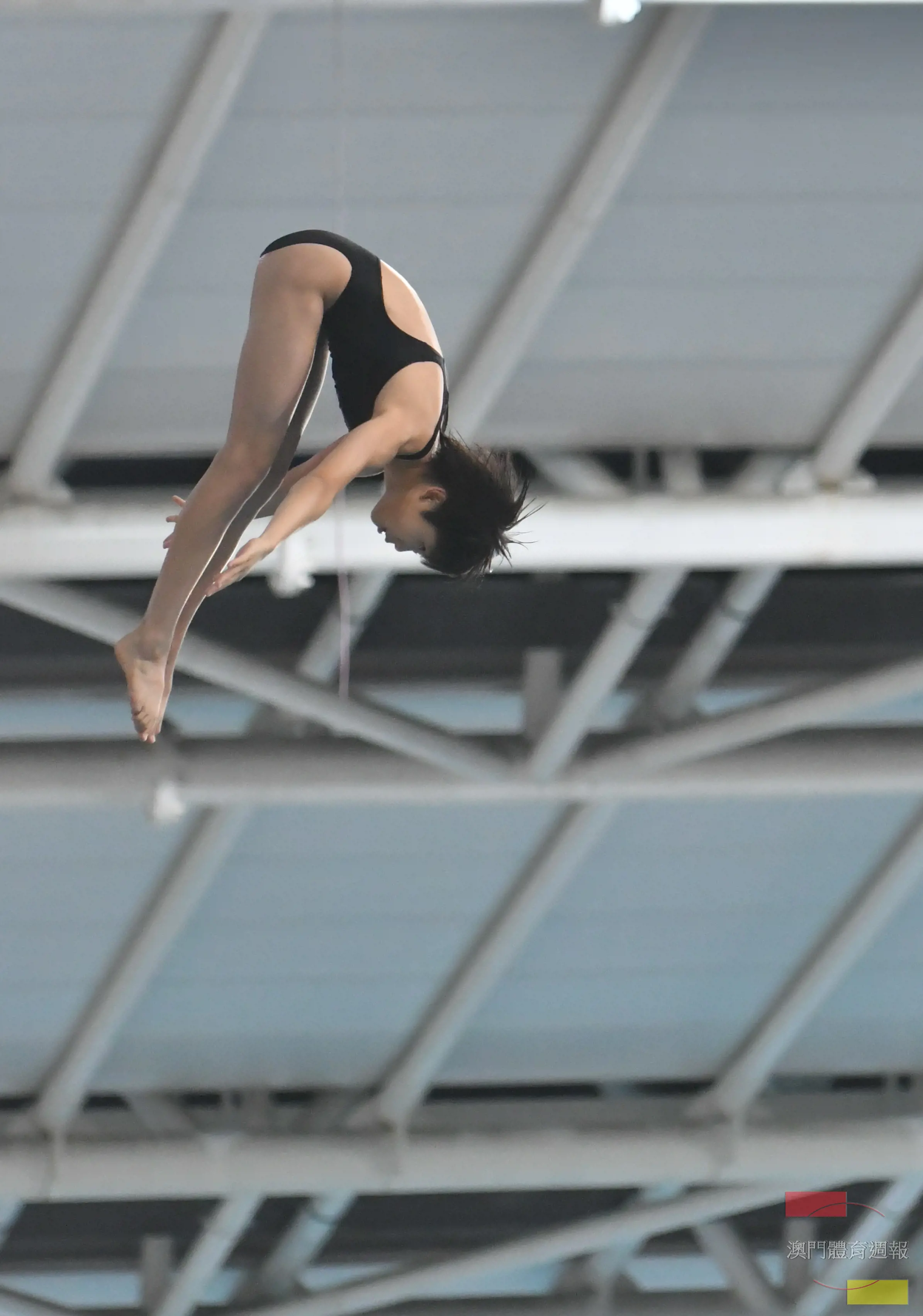 B4 布倩琳在十米高台的表現穩定.JPG